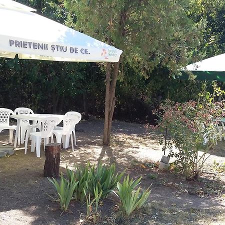 Bungalow Eforie Nord Villa Dış mekan fotoğraf